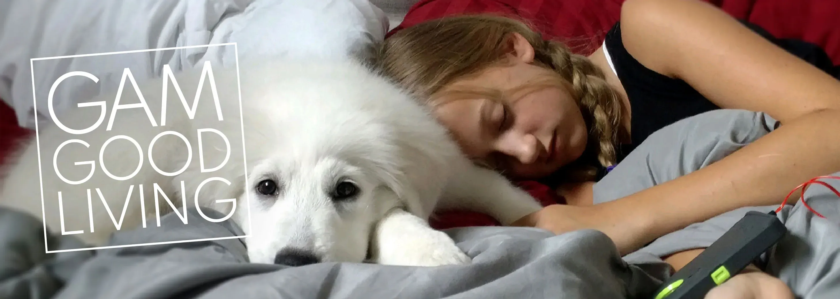 Tempur Pedic